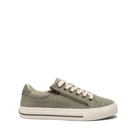 Sneakers Canvas