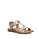 Champagne